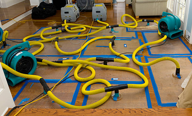 Professional Storm Water Damage Restoration technician working in Perrin, TX