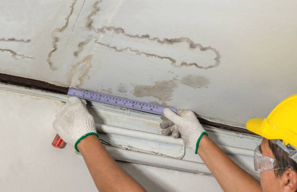 Affordable Water Damage Repair solutions in Perrin, TX